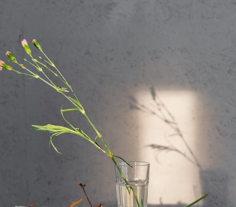 A serene space for practice with yoga mat and soft light.